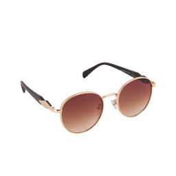 DukieKooky Unisex Brown Lens & Gold-Toned Round Sunglasses with-picture-23