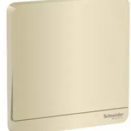 Schneider AvatarOn 1 Gangs 2 Pole 32A Switch Wine Gold E8331L1_WG_G8-48