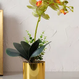 HOME 360 Green 1 Pieces Orchid Artificial Plant With Pot-11