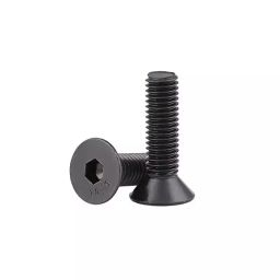 Rpi Ind M4x12 mm CSK (Countersunk)Socket Head Allen Screw-image-95
