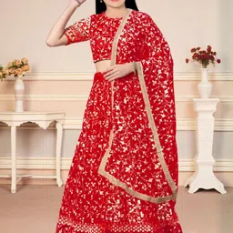 F Plus Fashion Red Net Lehenga Choli-image-101