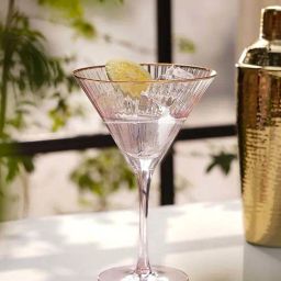 Pure Home and Living Pink Glass Ribbed Textured Martini Glasses (0.15 L) - Set of 2-image-27