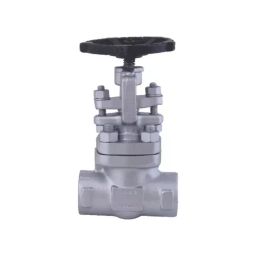 Leader FCS 019 Forged Cast Steel F Needle Valve (Regulating) Valve 20 mm Class - 800-image-74