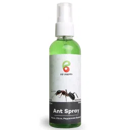 Pai Organics Natural Ant Killer Spray And Repellent 100% Organic And Safe 100 ml-picture-11
