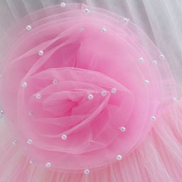 Bluebell Net Woven Sleeveless Party Frock With Mesh Overlay & Floral Corsage Detailing - Pink image 4