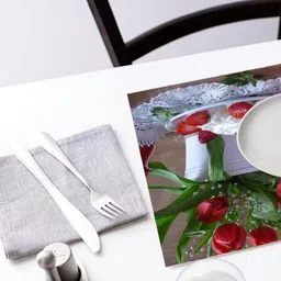 REVEXO 12 Pcs Brown & Red Printed Table Placemats With Coasters image 2