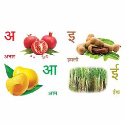 Book Ford Publications My First Tiny Board Books Combo Pack of 3 - Hindi, English image 3