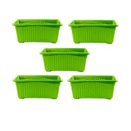Rectangular Jupiter Flower & Plants Pots-19