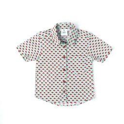 ZACH &KIKI Boys Green Cotton Printed Shirt-image-12
