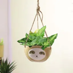 Tayhaa Brown Ceramic Hanging Planter Pot-image-42