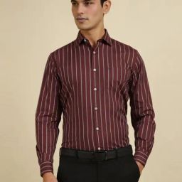 Allen Solly Maroon Cotton Slim Fit Striped Shirt-image-24