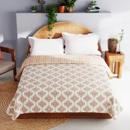Bianca MEZZO Mustard Cotton 140 TC 150 GSM Double Size Dohar-image-55
