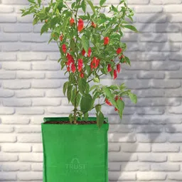TRUSTBASKET Set Of 5 HDPE Square Grow Bag-36