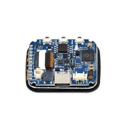 Waveshare RP2350 Microcontroller Development Board, With 1.69inch Touch LCD, Rounded Corners, Dual-core & Dual-architecture Design, Accelerometer And Gyroscope Sensor image 3