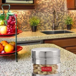 HAZEL Silver Stainless Steel Storage Containers (350 ml) - 350 ML-38