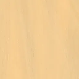 Dupatta Bazaar Beige Dupatta image 5