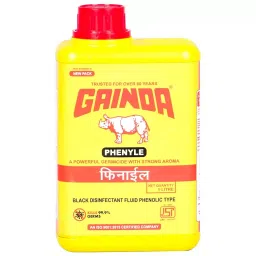Gainda 1 L Black Liquid Disinfectant Phenyl with Strong Aroma-image-13