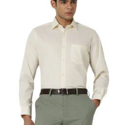 Van Heusen Beige Cotton Regular fit Solid Shirt-image-67
