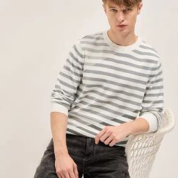 The Bear House Grey Cotton Slim fit Stripes T-Shirt-image-64