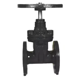 Kranti 12 inch, 300 mm Ductile Iron Resilient Seated Gate Valve, PV-416-picture-25