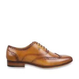 Da Vinchi by Metro Men's Tan Brogue Shoes-picture-20