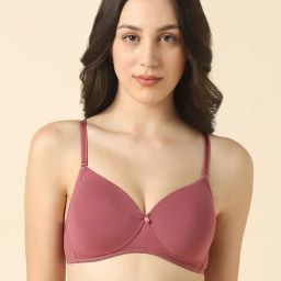 Van Heusen Maroon Cotton Bra-picture-16