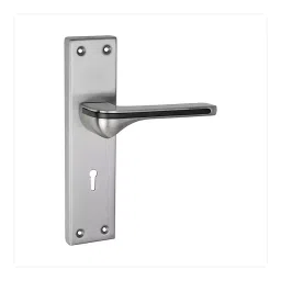 DiSS MH-Nature 2.5 Inch ‎Brass and Iron SS Finish Door Handle Set-image-92