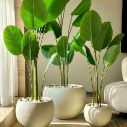 Mason Home Lithos Ivory Planter, Large-image-8