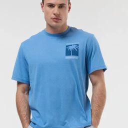 American Eagle Blue Regular Fit Printed T-Shirt-image-41