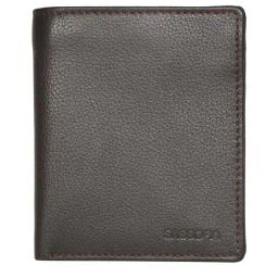 SASSORA Brown Casual Leather Bi-Fold Wallet for Men-image-49