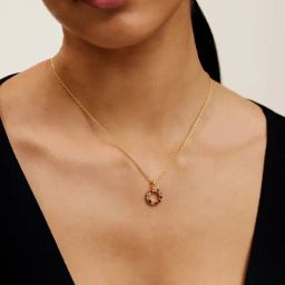 Ted Baker HALOAN: Halo Crystal Pendant Necklace-image-89