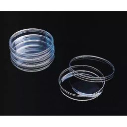 BEXCO 100 mm Glass Petri Dish (Pack of 5)-39