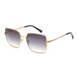 IRUS By IDEE Grey Butterfly Sunglasses for Women-image-91