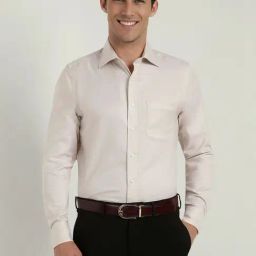 Allen Solly Beige Slim Fit Texture Shirt-image-125