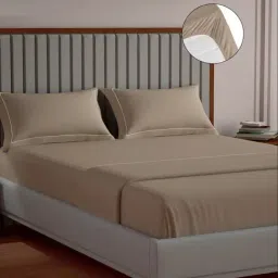 Mulberry Living Cotton Solid Brown 250 TC Super King Fitted Size Bedsheet with 2 Pillow Covers-picture-6