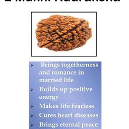 takshila gems Natural 2 Mukhi Rudraksha (2 Face Rudraksha) Lab Certified Rudraksha, Two Face Rudraksha image 4
