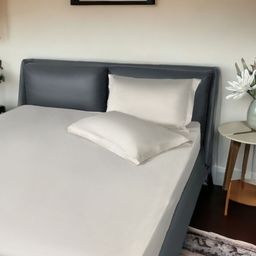 ERBA Beige King Bedsheet with 2 Pillow Covers-image-127
