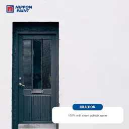 NIPPON PAINT 4 L Latex Exterior Primer with Matt Finish and White Color image 3