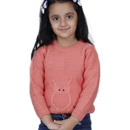 JoE Hazel Full Sleeves Owl Detailed Sweater - Coral Pink-picture-35