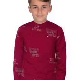 Allen Solly Junior Maroon Printed Full Sleeves Sweatshirt-picture-45