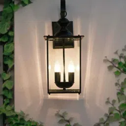 FOS LIGHTING Black & Transparent Mild Steel Outdoor Hanging Wall Lamp-image-40