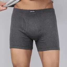Levi's Grey Cotton Regular Fit Trunks-picture-21