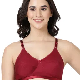 BLOSSOM Maroon Full Coverage Full Coverage Bra image 1