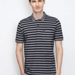 Peter England Grey Regular Fit Striped Polo T-Shirt-image-10