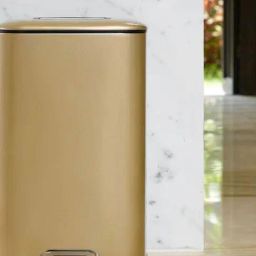 OBSESSIONS Champagne Gold Stainless Steel Step Dustbin With Deodorizer Compartment (12 Litre)-picture-47
