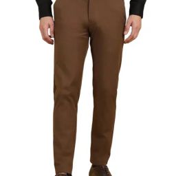 Allen Solly Brown Blended Regular Fit Solid Trousers-image-85