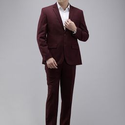 Park Avenue Self Design Single Breasted 2 Piece Party Suits-image-62