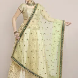 Dupatta Bazaar Light Green Zari Work Dupatta-picture-11