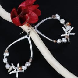 Priyaasi Silver-Plated Beaded Dangler Earrings-image-20