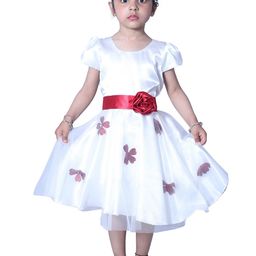 Wish little Cape Sleeve Net A-Line Dress-17